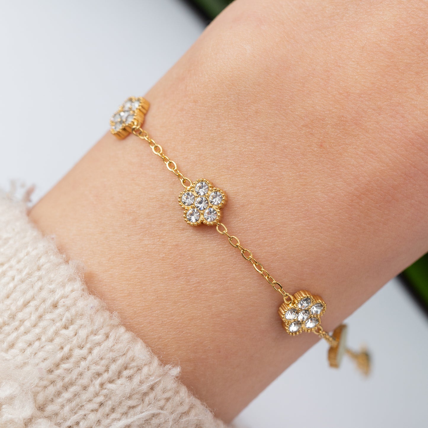 Gourmette en Acier Inoxydable Garantie