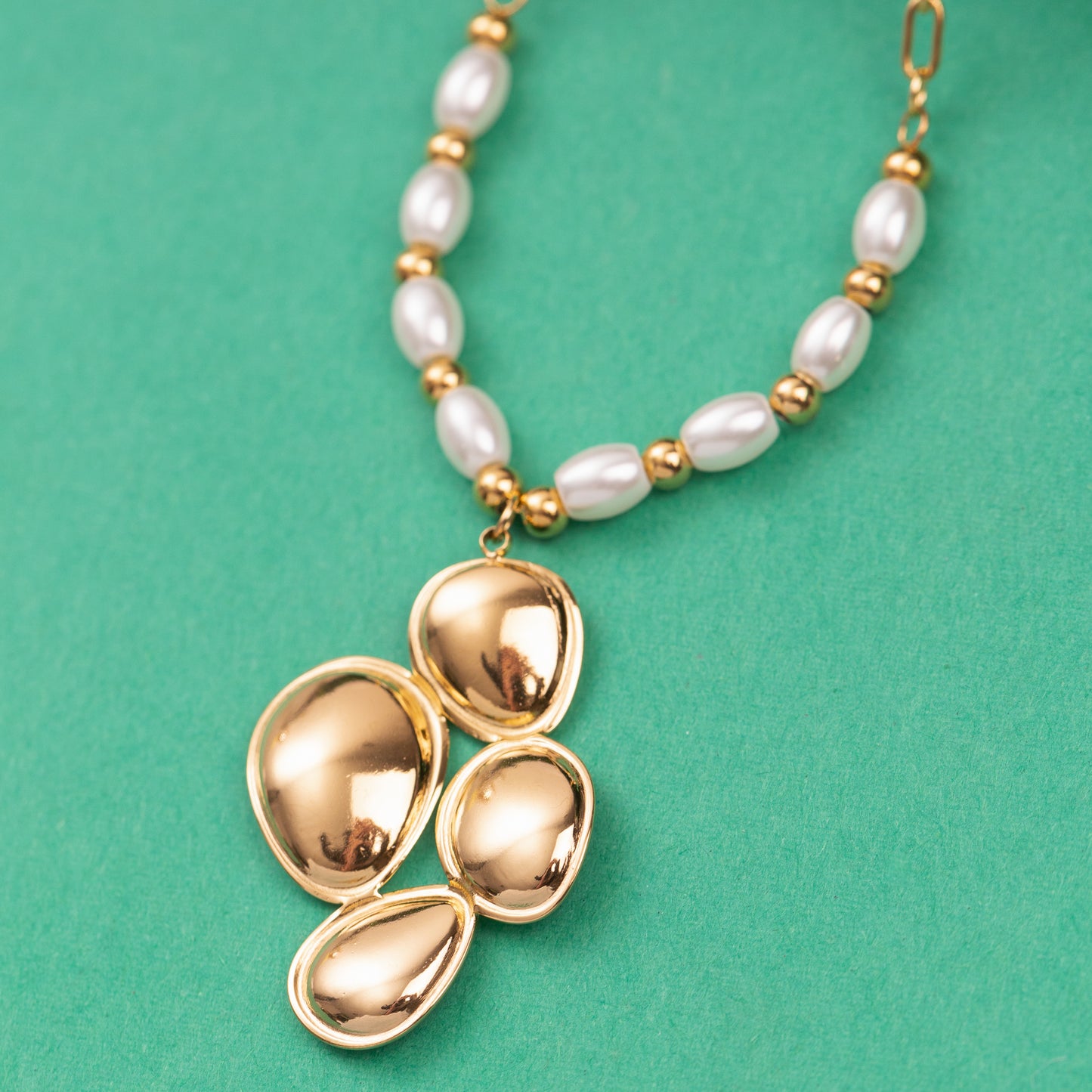 Collier en Acier Inoxydable Garanti