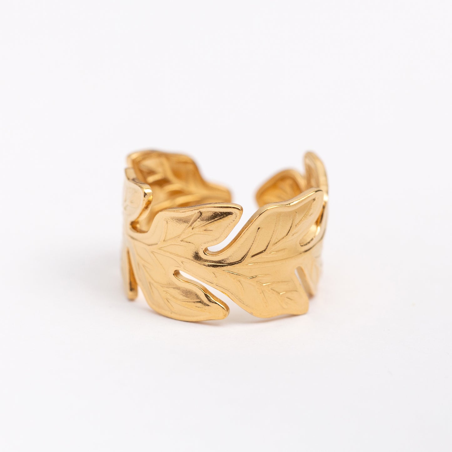 Bague en acier inoxydable garantie - Taille standard