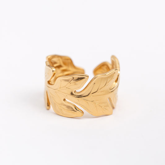 Bague en acier inoxydable garantie - Taille standard