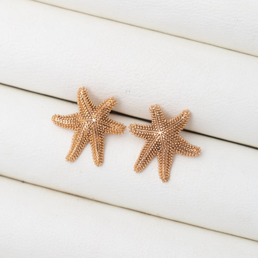 Boucles d'oreilles en plaqué Or