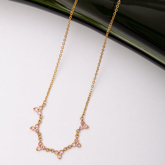 Collier en acier inoxydable garanti
