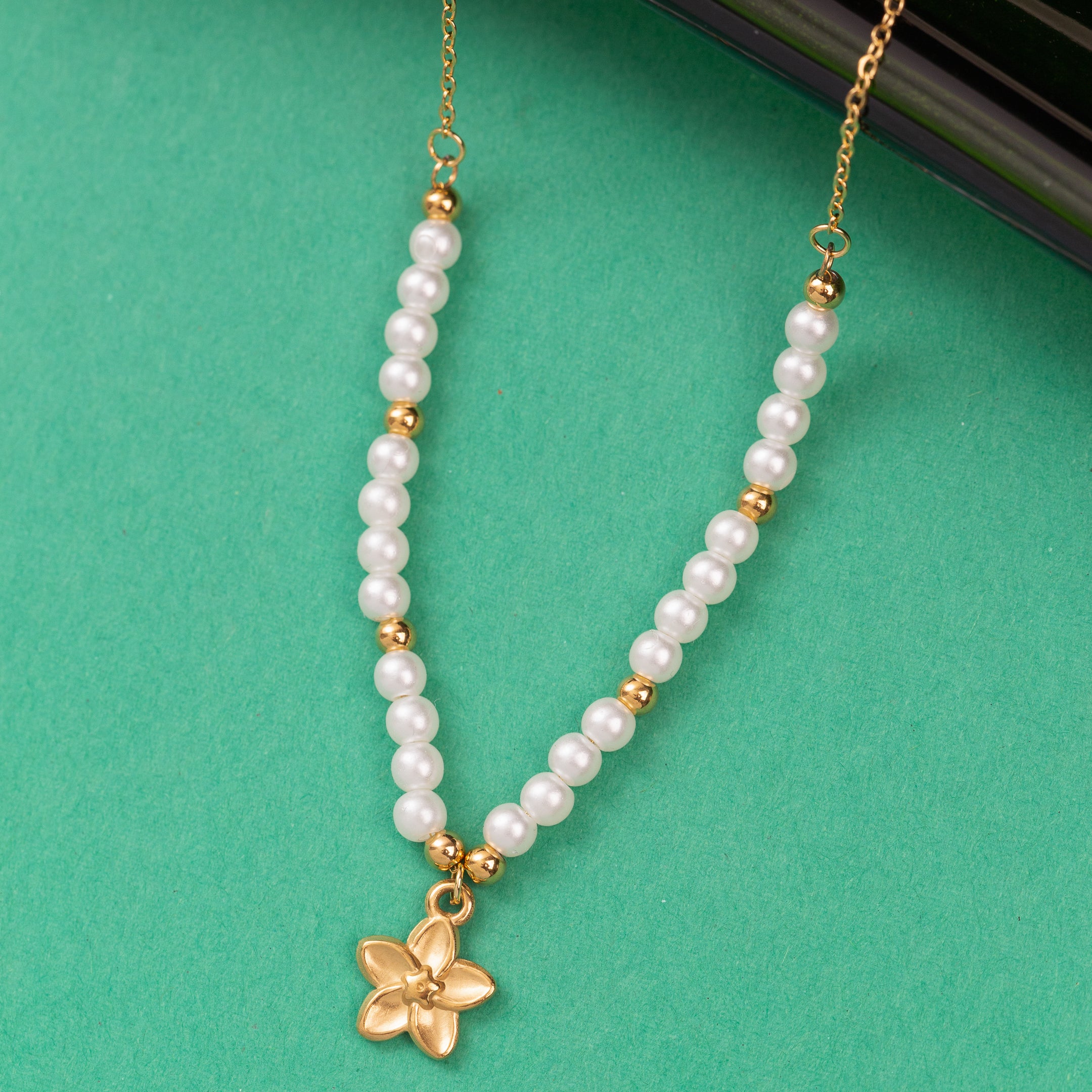 Collier en Acier Inoxydable Garanti