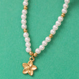 Collier en Acier Inoxydable Garanti
