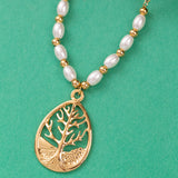 Collier en Acier Inoxydable Garanti