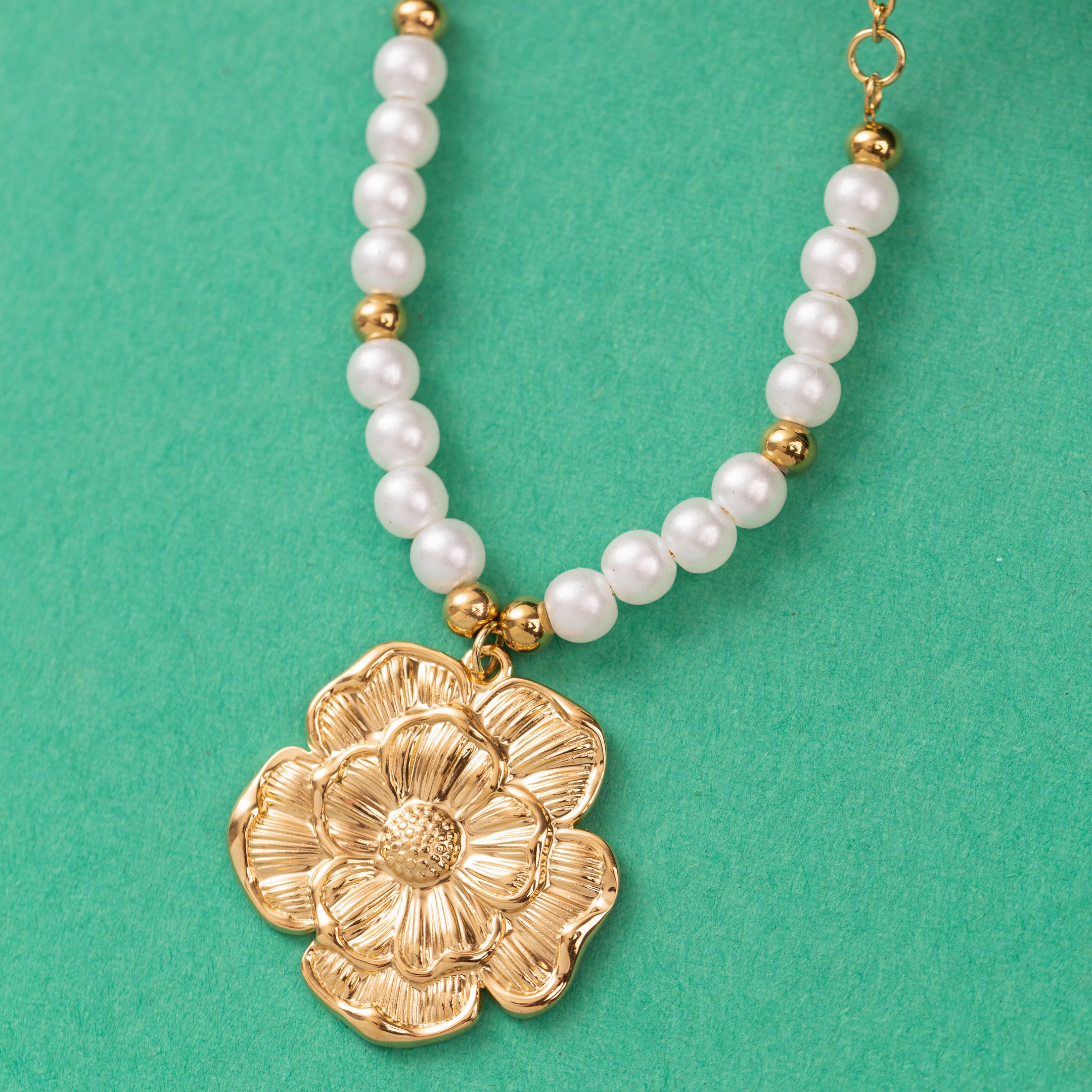 Collier en Acier Inoxydable Garanti