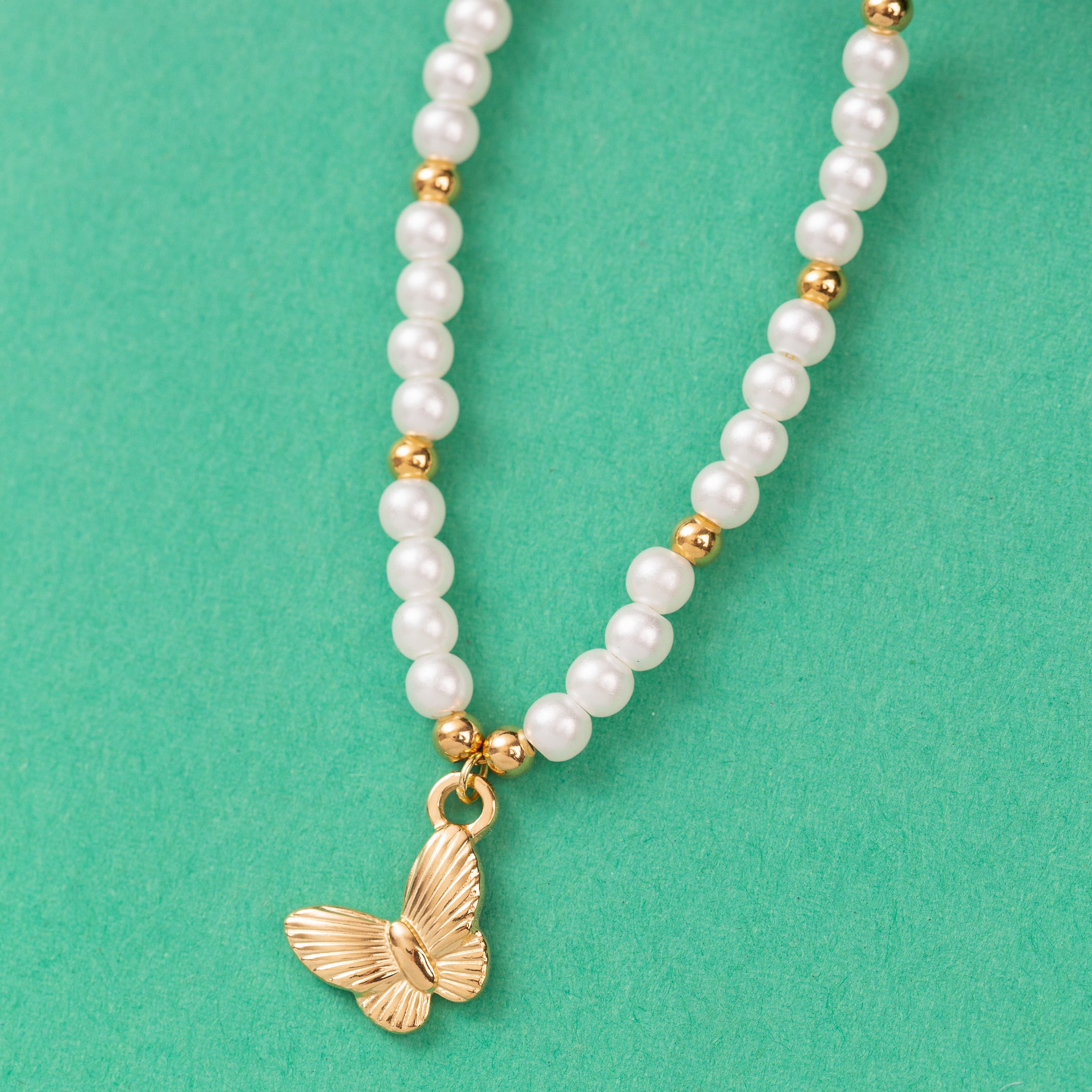 Collier en Acier Inoxydable Garanti