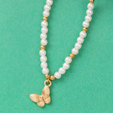 Collier en Acier Inoxydable Garanti