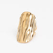 Bague en acier inoxydable garantie - Taille standard