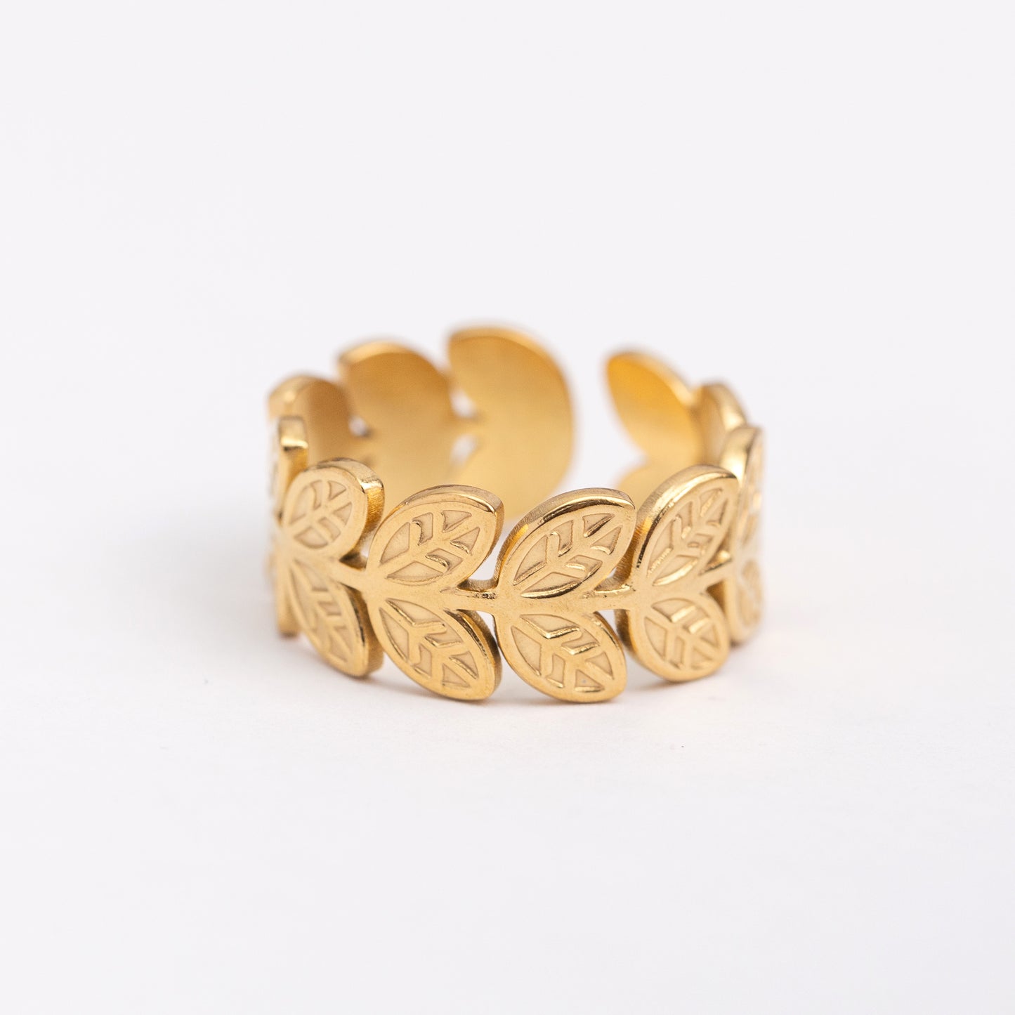 Bague en acier inoxydable garantie - Taille standard