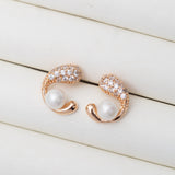 Boucles d'oreilles en plaqué Or
