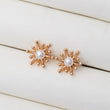 Boucles d'oreilles en plaqué Or