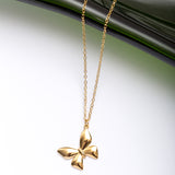 Collier Reflet en acier inoxydable garanti - En promotion
