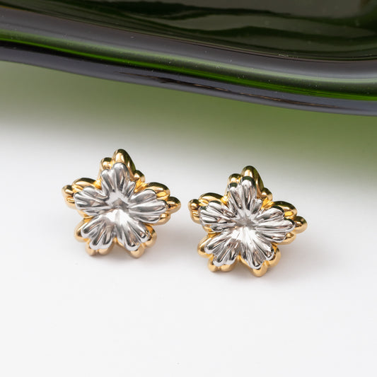 Boucles d'oreilles en acier