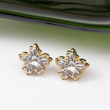 Boucles d'oreilles en acier
