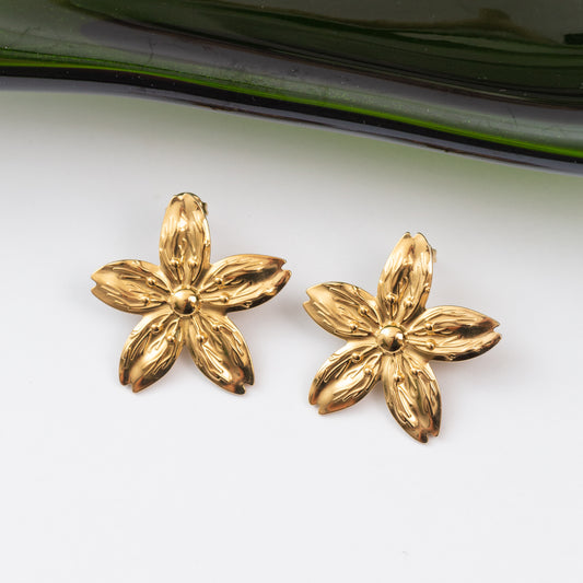 Boucles d'oreilles en acier