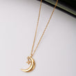 Collier en acier inoxydable garanti