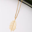 Collier en acier inoxydable garanti