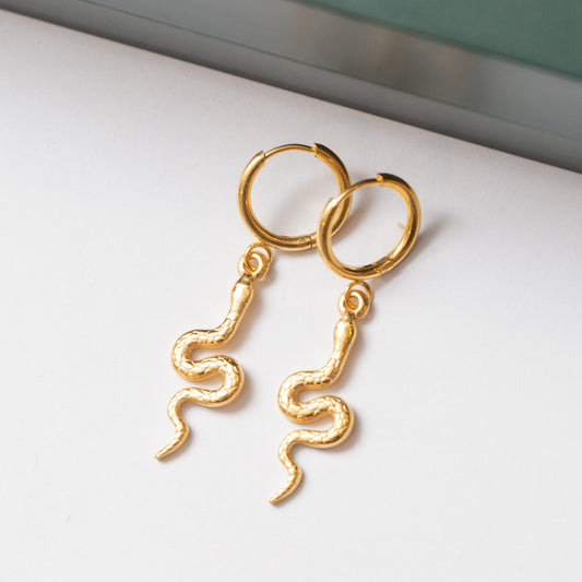 Boucles d'oreilles Acier Tendance