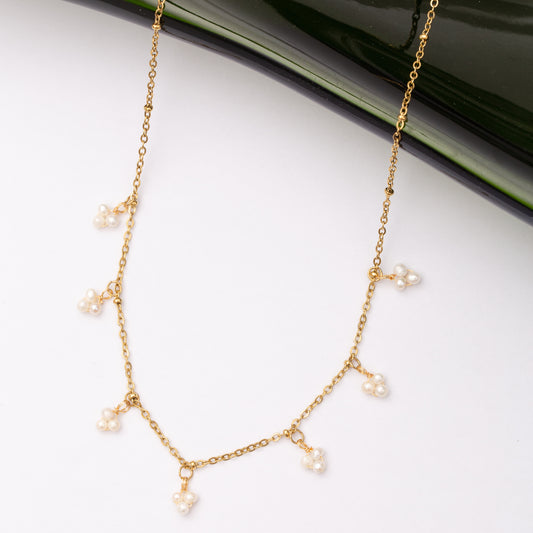 Collier en acier inoxydable garanti