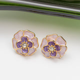 Boucles d'oreilles en acier